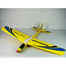 2012 Hot and new Soaring eagle TW 738 rc hobby
